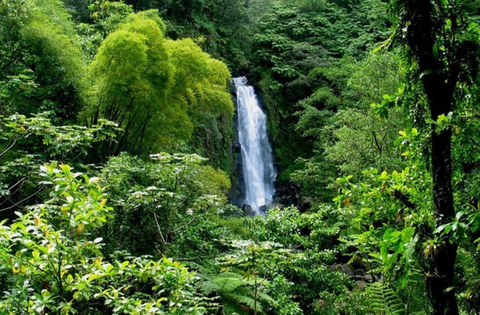 Trafalgar Falls, Saint Joseph, Barbados